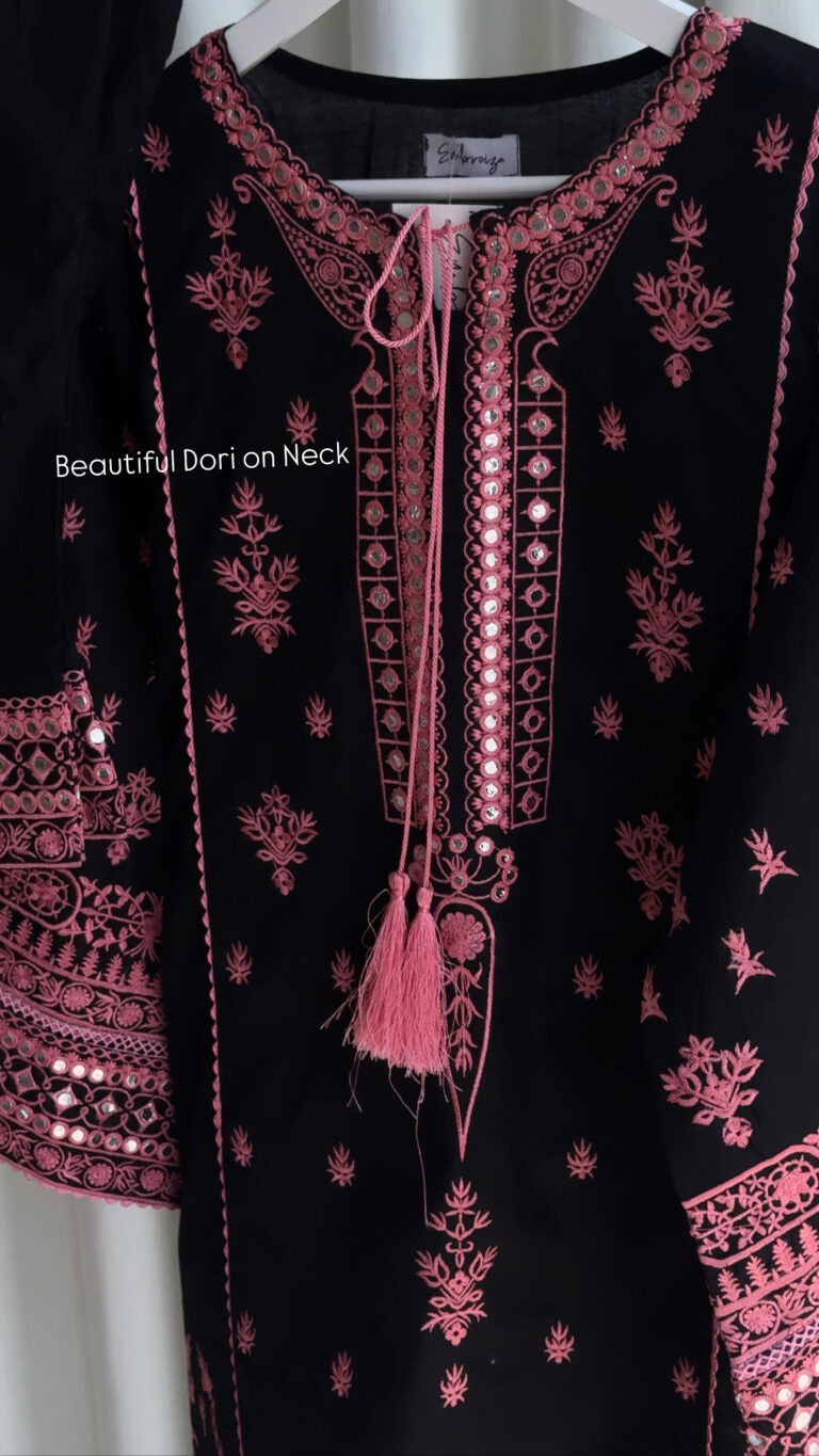 Beautiful Embroidered Dori Neck Dress