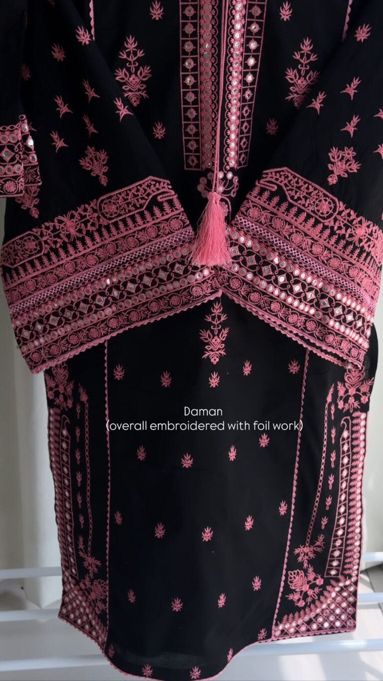 Beautiful Embroidered Dori Neck Dress