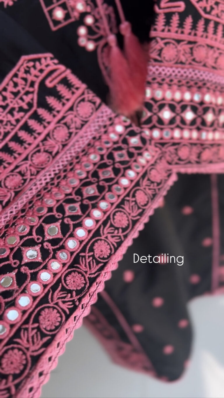 Beautiful Embroidered Dori Neck Dress